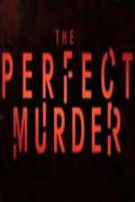 Watch The Perfect Murder Freemovieswatch