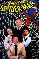 Watch The Amazing Spider-Man Freemovieswatch