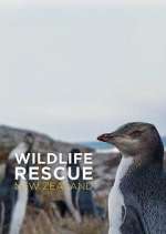 Watch Wildlife Rescue New Zealand Freemovieswatch