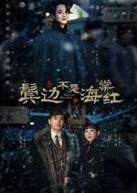 Watch Winter Begonia Freemovieswatch