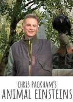 Watch Chris Packham's Animal Einsteins Freemovieswatch