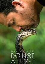 Watch David Blaine Do Not Attempt Freemovieswatch