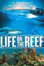 Watch Life on the Reef Freemovieswatch