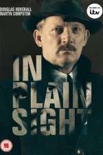 Watch In Plain Sight Freemovieswatch