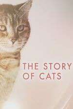 Watch The Story of Cats Freemovieswatch