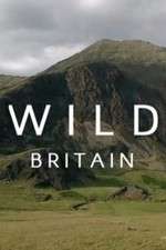 Watch Wild Britain Freemovieswatch