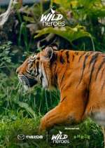 Watch Wild Heroes Freemovieswatch