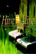 Watch Hive Alive Freemovieswatch