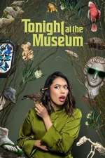 Watch Tonight At The Museum Freemovieswatch