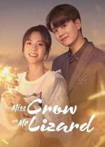 Watch Miss Crow with Mr. Lizard Freemovieswatch