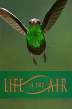 Watch Life in the Air Freemovieswatch