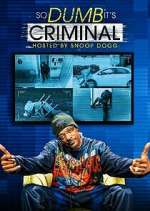Watch So Dumb It's Criminal Freemovieswatch