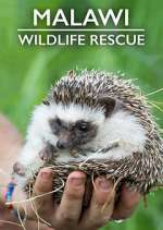 Watch Malawi Wildlife Rescue Freemovieswatch