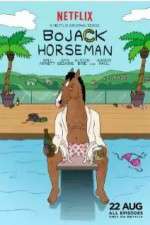 Watch BoJack Horseman Freemovieswatch