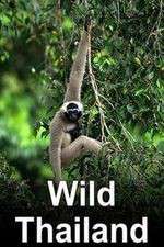 Watch Wild Thailand Freemovieswatch