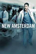 Watch New Amsterdam Freemovieswatch