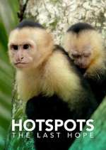 Watch Hotspots: The Last Hope Freemovieswatch