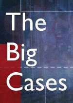 Watch The Big Cases Freemovieswatch