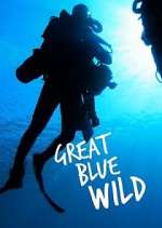 Watch Great Blue Wild Freemovieswatch
