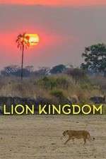 Watch Lion Kingdom Freemovieswatch