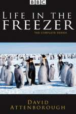Watch Life in the Freezer Freemovieswatch