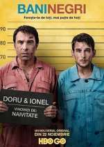 Watch Bani negri (pentru zile albe) Freemovieswatch