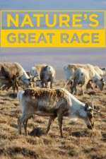 Watch Nature's Great Race Freemovieswatch