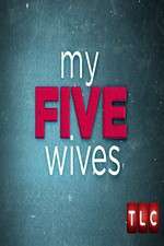 Watch My Five Wives Freemovieswatch
