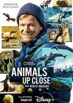 Watch Animals Up Close with Bertie Gregory Freemovieswatch
