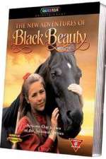 Watch The New Adventures of Black Beauty Freemovieswatch