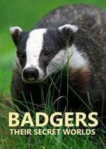 Watch Badgers: Their Secret Worlds Freemovieswatch