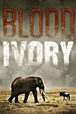 Watch Blood Ivory Freemovieswatch