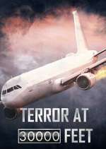 Watch Terror at 30,000 Feet Freemovieswatch