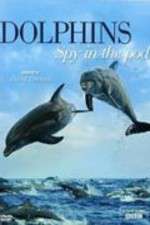 Watch Dolphins: Spy in the Pod Freemovieswatch
