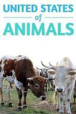Watch United States of Animals Freemovieswatch