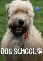 Watch Dog School Freemovieswatch