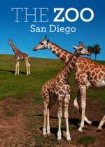 Watch The Zoo: San Diego Freemovieswatch