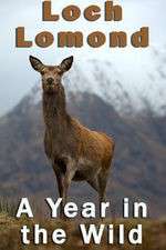 Watch Loch Lomond: A Year in the Wild Freemovieswatch