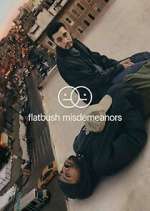 Watch Flatbush Misdemeanors Freemovieswatch