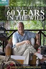 Watch Attenborough 60 Years in the Wild Freemovieswatch