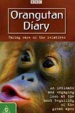 Watch Orangutan Diary Freemovieswatch