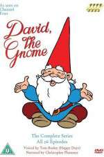 Watch David el gnomo Freemovieswatch