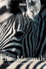 Watch The Life of Mammals Freemovieswatch