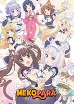 Watch Nekopara Freemovieswatch