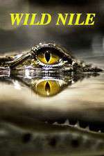 Watch Wild Nile Freemovieswatch