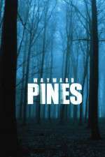 Watch Wayward Pines Freemovieswatch