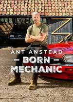 Watch Ant Anstead: Born Mechanic Freemovieswatch