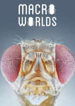 Watch Macro Worlds Freemovieswatch