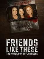 Watch Friends Like These: The Murder of Skylar Neese Freemovieswatch