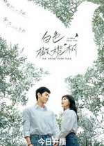 Watch The White Olive Tree Freemovieswatch